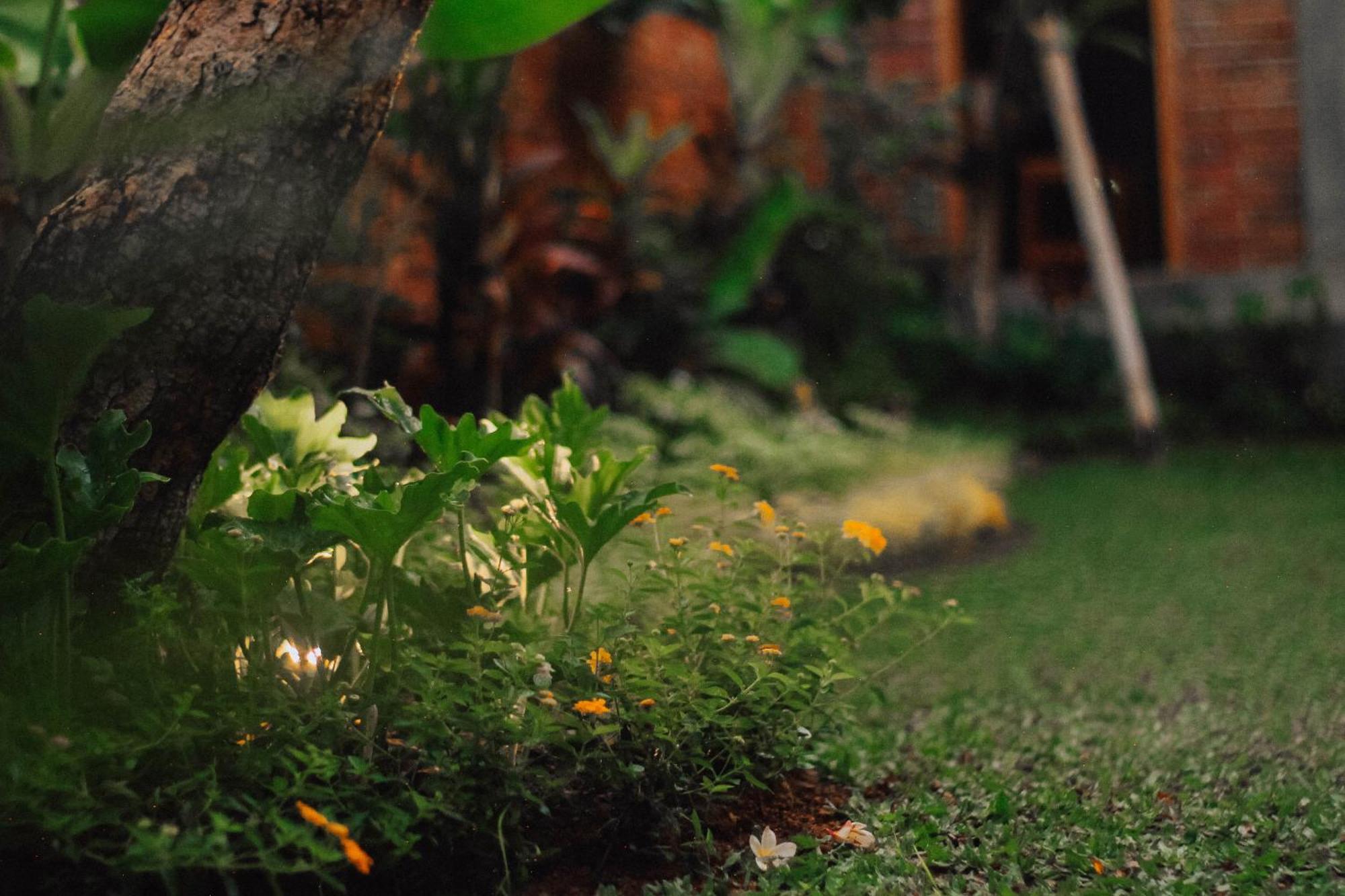 The Govardhan Homestay Canggu Exteriör bild